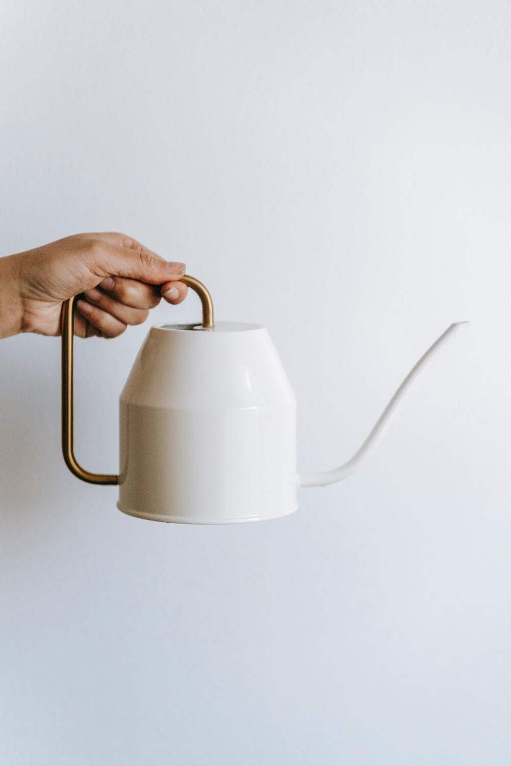 MCM Watering Can